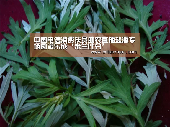 中国电信消费扶贫助农直播盐源专场圆满乐成‘米兰比分’(图6) 米兰比分