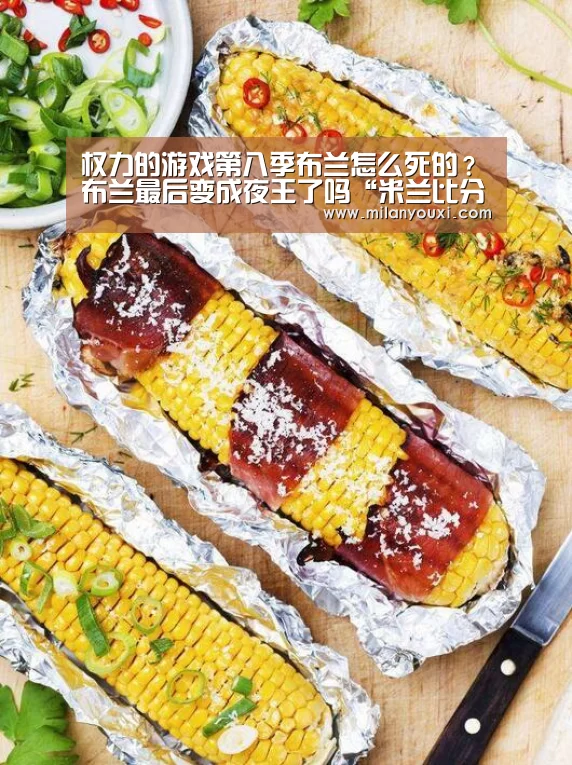权力的游戏第八季布兰怎么死的?布兰最后变成夜王了吗“米兰比分”(图1) 米兰直播